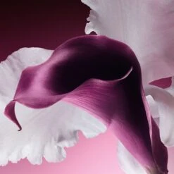 DIOR Capture Totale -Bobbi Brown || Lancome || Clinique Soldes Magasin dior capture totale kit soins visage le rituel de soin anti age global 4 produitsle rituel soin anti age globalle rituel soin anti age global 4