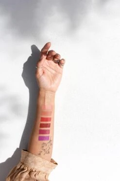 Ere Perez Carrot -Bobbi Brown || Lancome || Clinique Soldes Magasin ere perez carrot blush creme brillant a levres 3