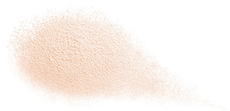 Shiseido Future Solution LX Total Radiance Loose Powder 4 Shiseido Future Solution LX Total Radiance Loose Powder – Image 2