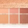 Sigma Beauty Cor-de-Rosa Blush Palette 2 Sigma Beauty Cor-de-Rosa Blush Palette -Bobbi Brown || Lancome || Clinique Soldes Magasin sigma beauty cor de rosa blush palette palette de blush