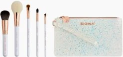 Sigma Beauty Holiday Glam Brush Set